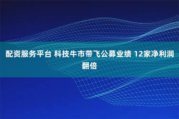 配资服务平台 科技牛市带飞公募业绩 12家净利润翻倍